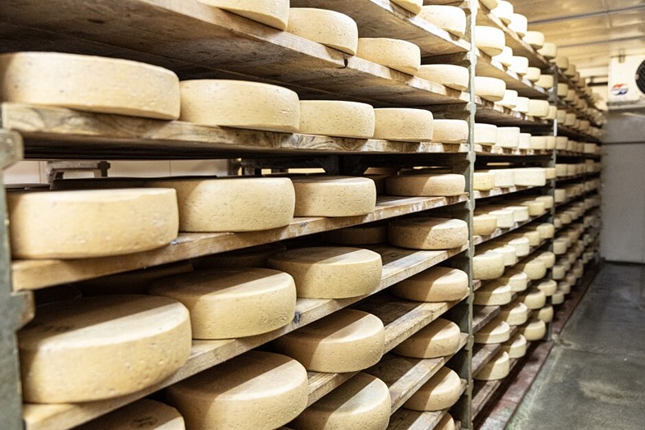 Lagerung des Käse auf Holzdielen