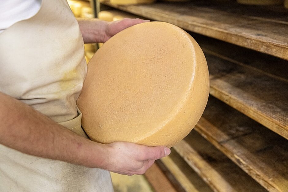 Käse von hächster Qualität wird aus dem Regal genommen